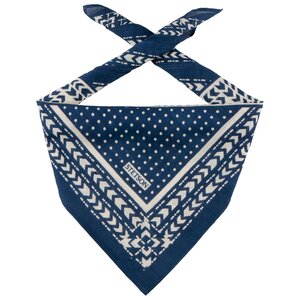 Stetson Bandana Geometric