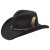 Stetson Amasa Western Vitafelt Black