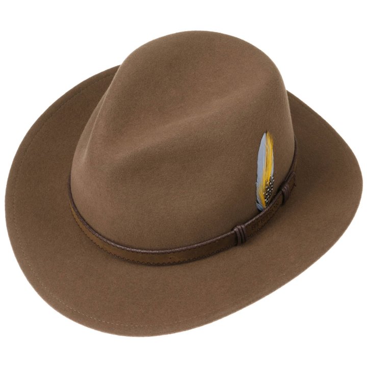 2528014-7TRAVELLER VITAFELT STETSON2.jpg
