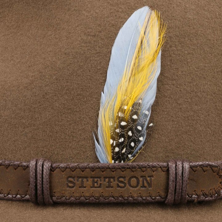 2528014-7TRAVELLER VITAFELT STETSON3.jpg